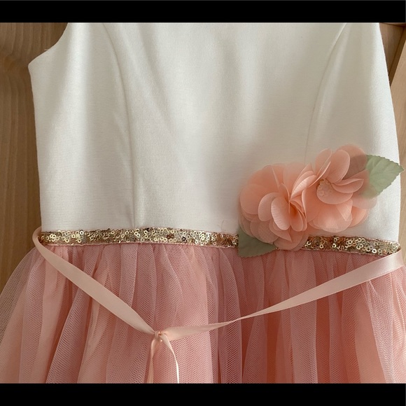 GIRLS (10) Blush Tule dress. Perfect condition! - Picture 3 of 5